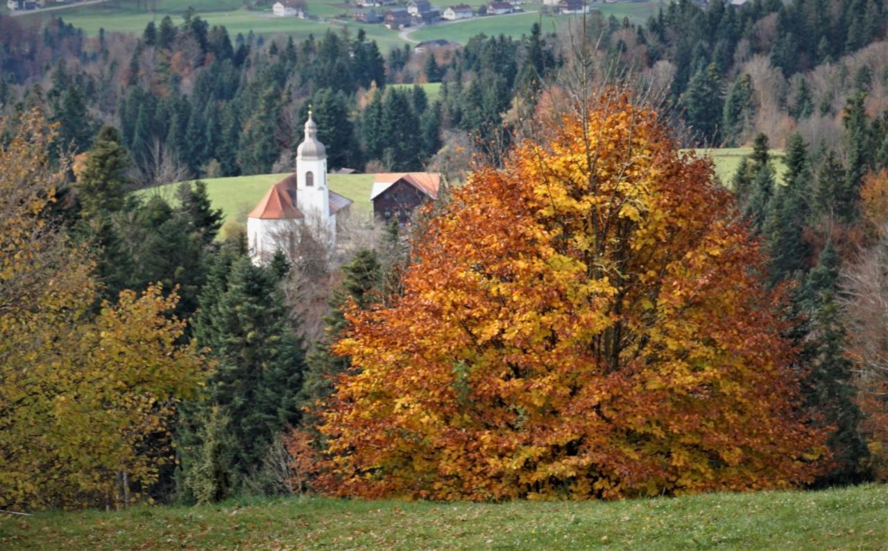 Апартаменты Ferien In Feld 109 Langenegg Экстерьер фото